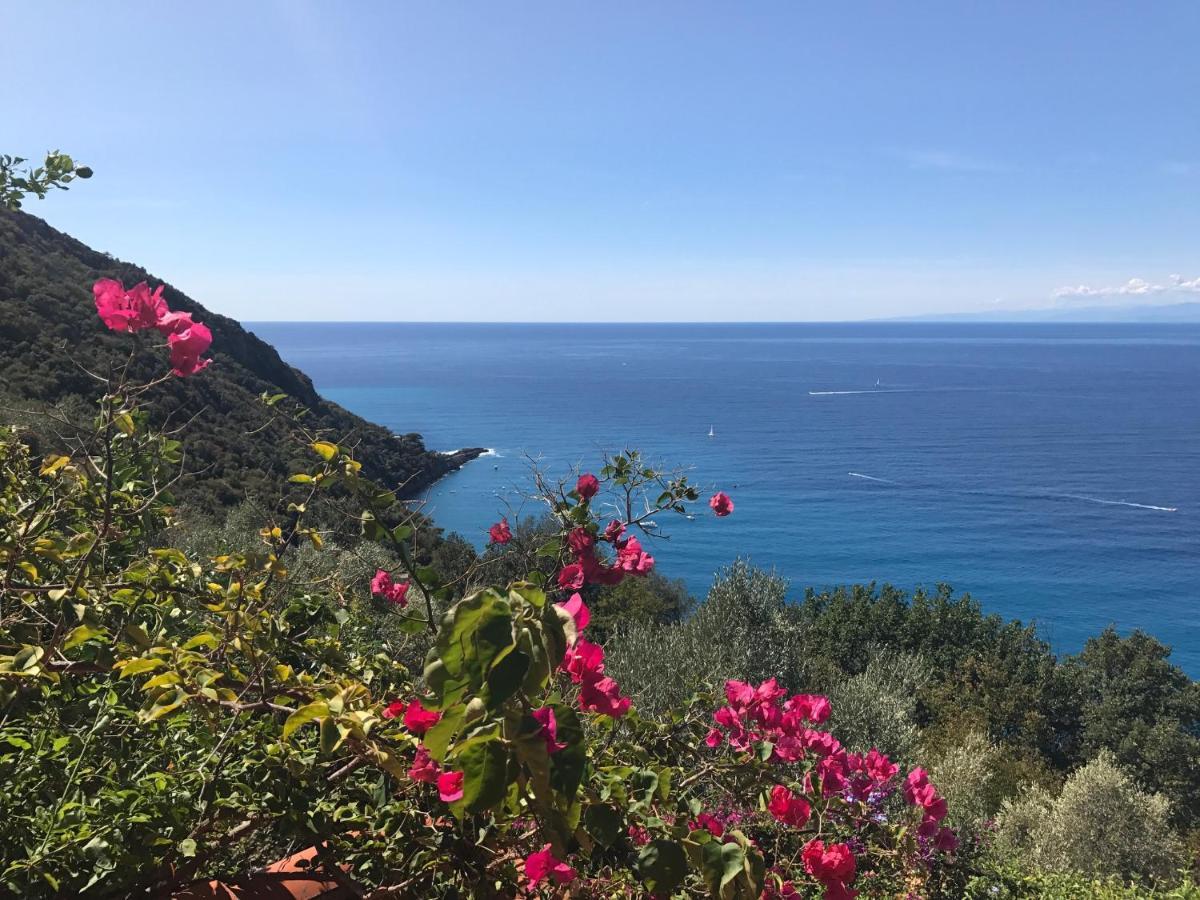 Villa Cielomare Camogli Exterior photo