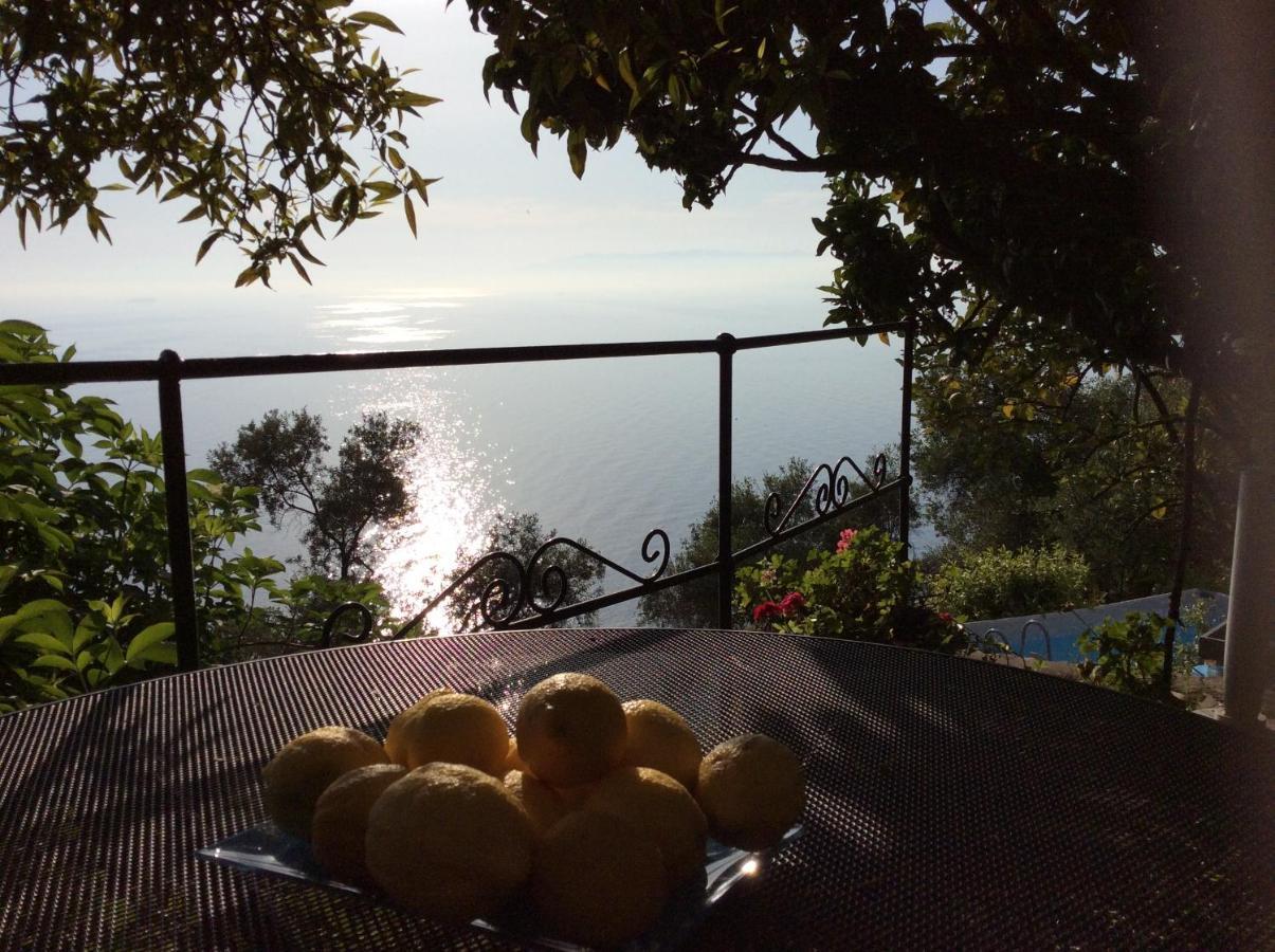 Villa Cielomare Camogli Exterior photo