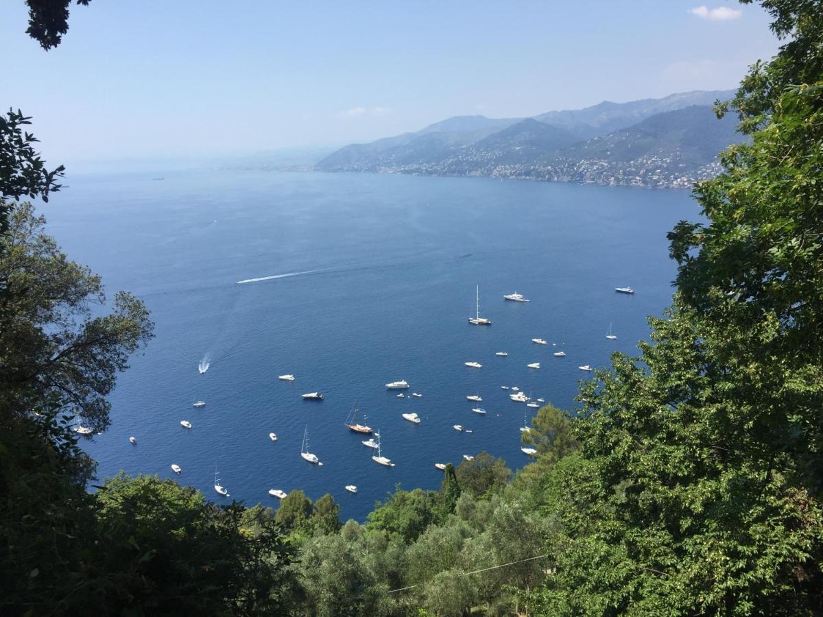 Villa Cielomare Camogli Exterior photo