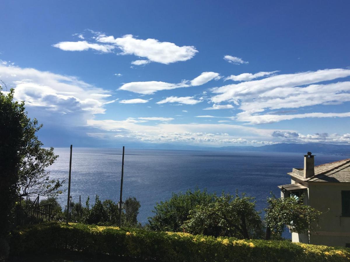 Villa Cielomare Camogli Exterior photo