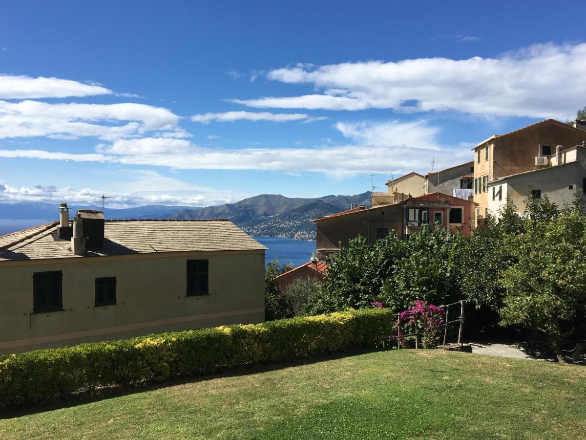 Villa Cielomare Camogli Exterior photo